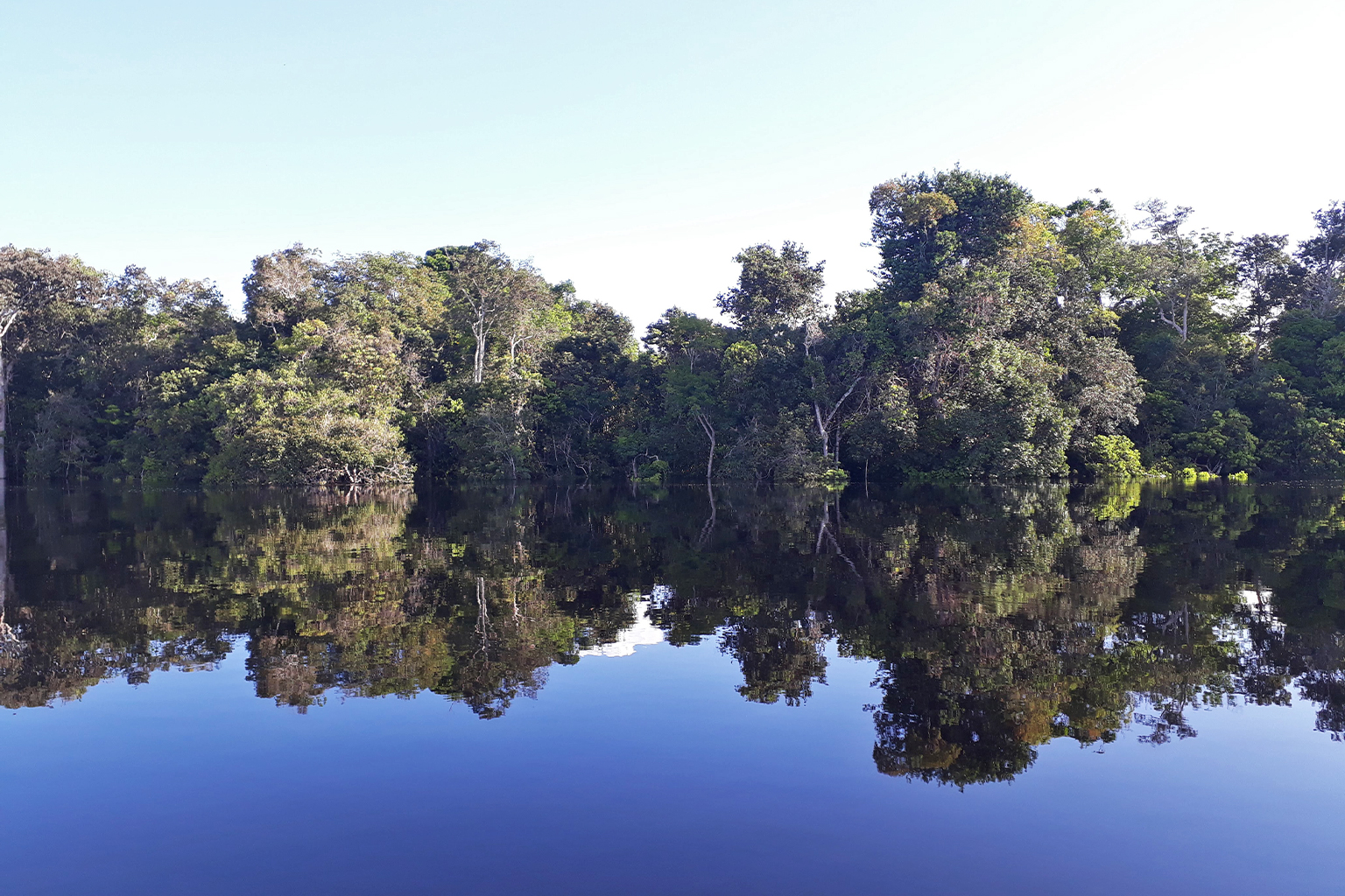 Hotter and drier: Deforestation and wildfires take a toll on the Amazon