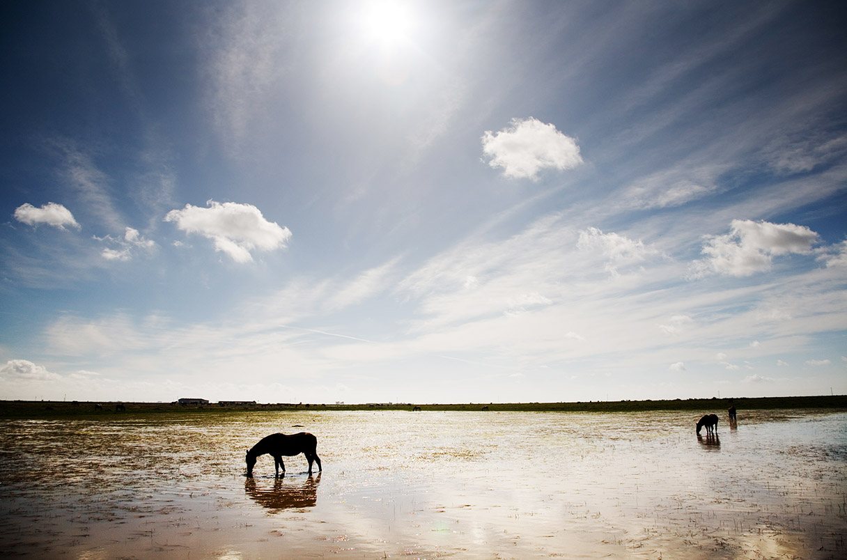 Farming bill threatens Spain's most important wetland, scientists say