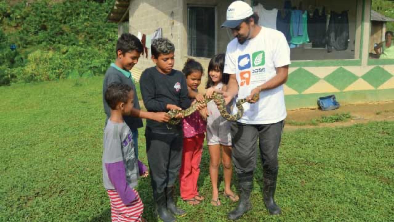 A Snake Species Not Seen Alive for 64 Years Appears in Brazil