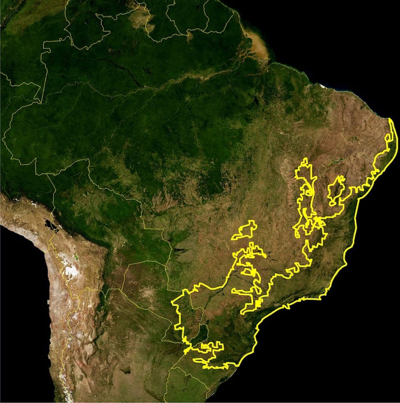 Environment secretary of São Paulo faces controversies over management plans of protected areas