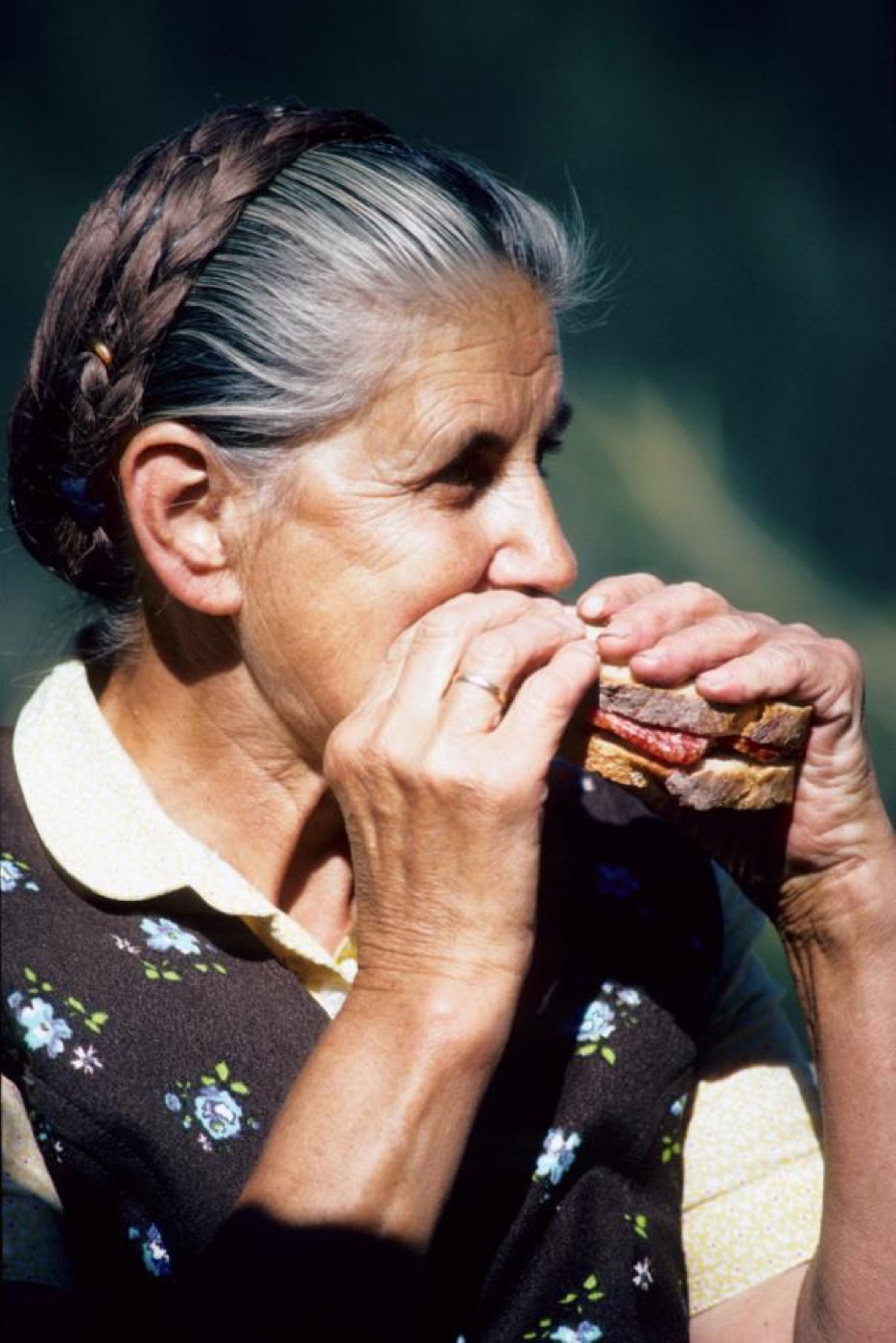 Diets to live longer