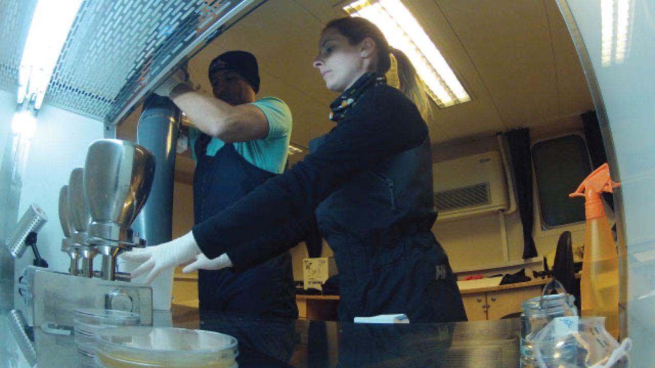 Cataloging Fungal Life in Antarctic Seas