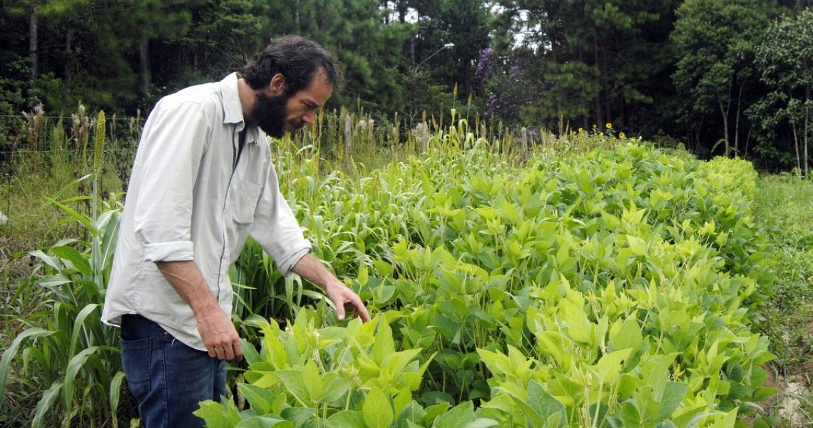 How São Paulo is tackling poverty and urban sprawl by bolstering farming