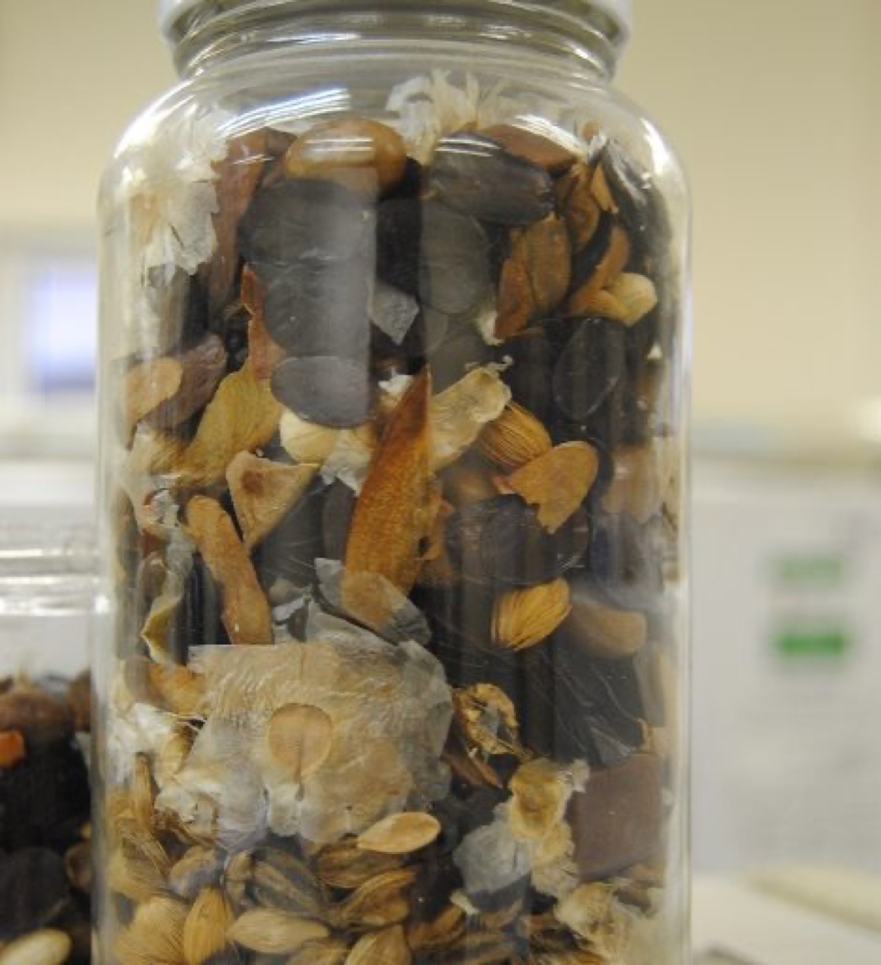 Brazil’s plant biodiversity still not fully present in its seed banks