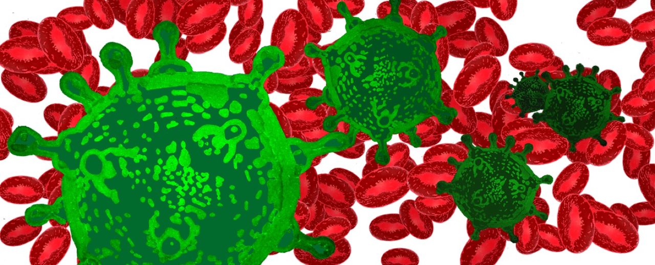 Pouco conhecido, vírus da família do HIV infecta milhares no País