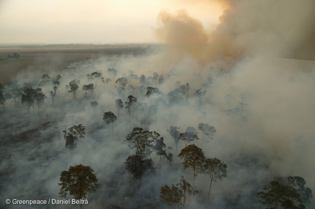 Amazon rainforest fires leave São Paulo in the dark